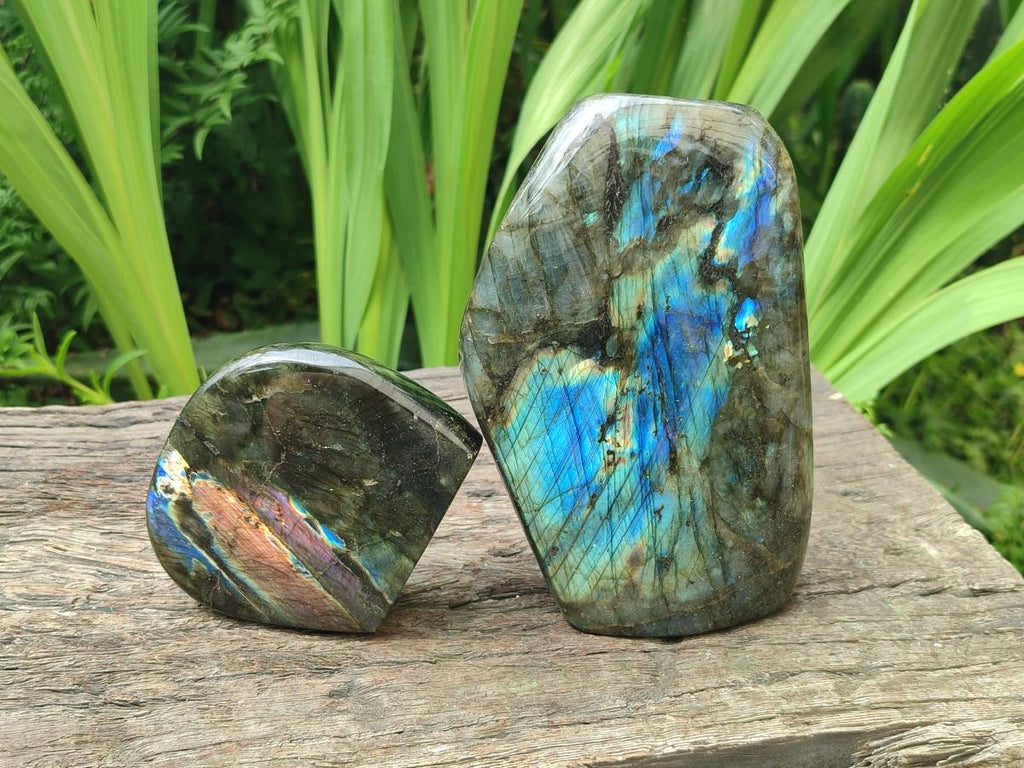 Polished Labradorite Standing Free Forms x 2 From Tulear, Madagascar