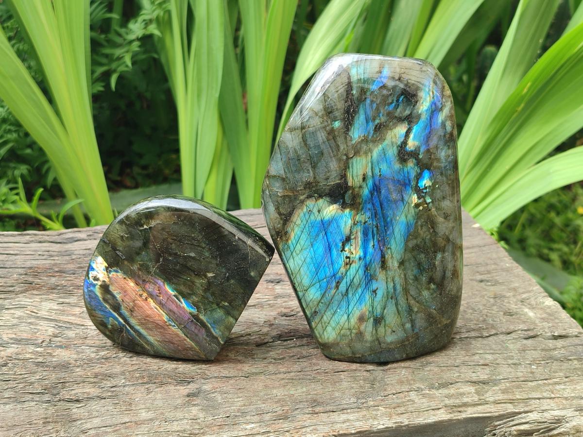 Polished Labradorite Standing Free Forms x 2 From Tulear, Madagascar
