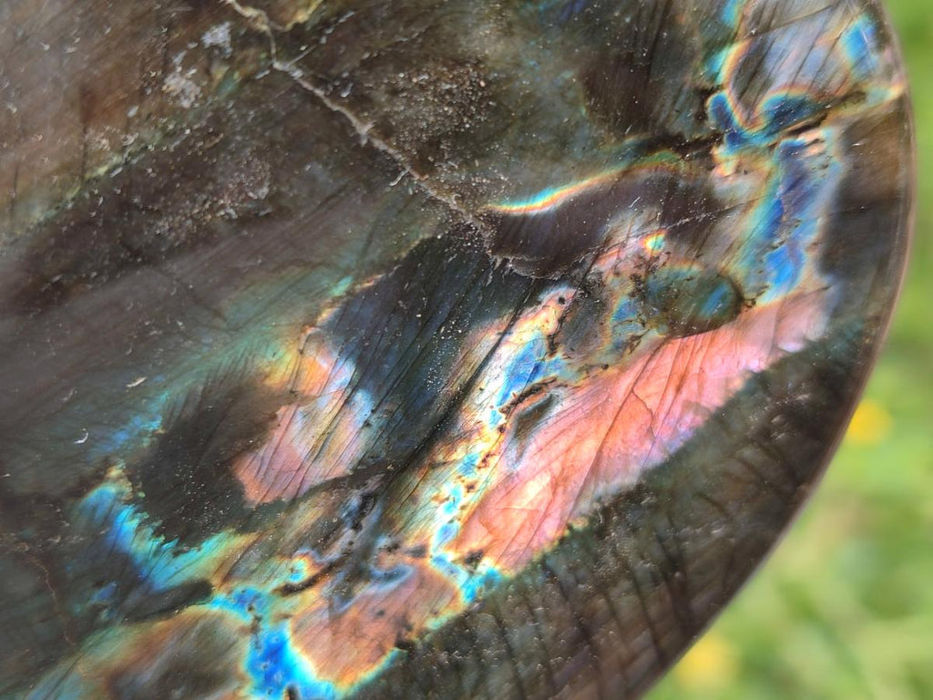 Polished Labradorite Standing Free Forms x 2 From Tulear, Madagascar