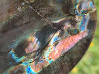 Polished Labradorite Standing Free Forms x 2 From Tulear, Madagascar