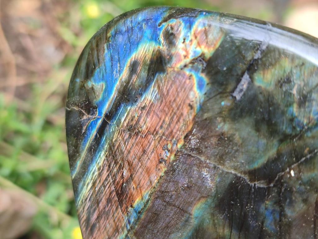 Polished Labradorite Standing Free Forms x 2 From Tulear, Madagascar