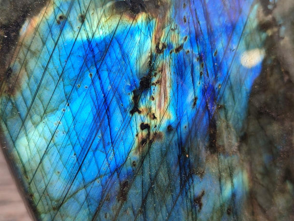 Polished Labradorite Standing Free Forms x 2 From Tulear, Madagascar