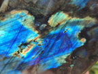 Polished Labradorite Standing Free Forms x 2 From Tulear, Madagascar
