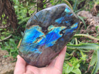 Polished Labradorite Standing Free Forms x 2 From Tulear, Madagascar