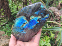 Polished Labradorite Standing Free Forms x 2 From Tulear, Madagascar