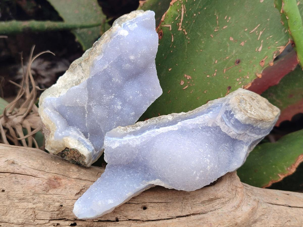 Natural Blue Lace Agate Geode Specimens x 12 From Nsanje, Malawi