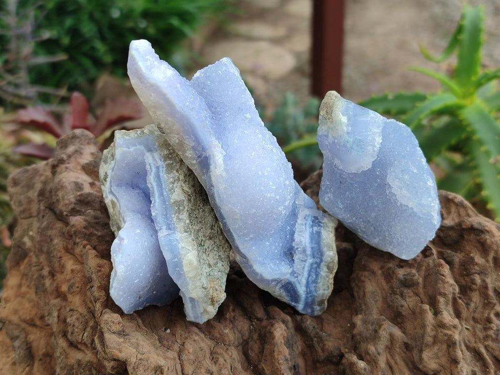 Natural Blue Lace Agate Geode Specimens x 12 From Nsanje, Malawi