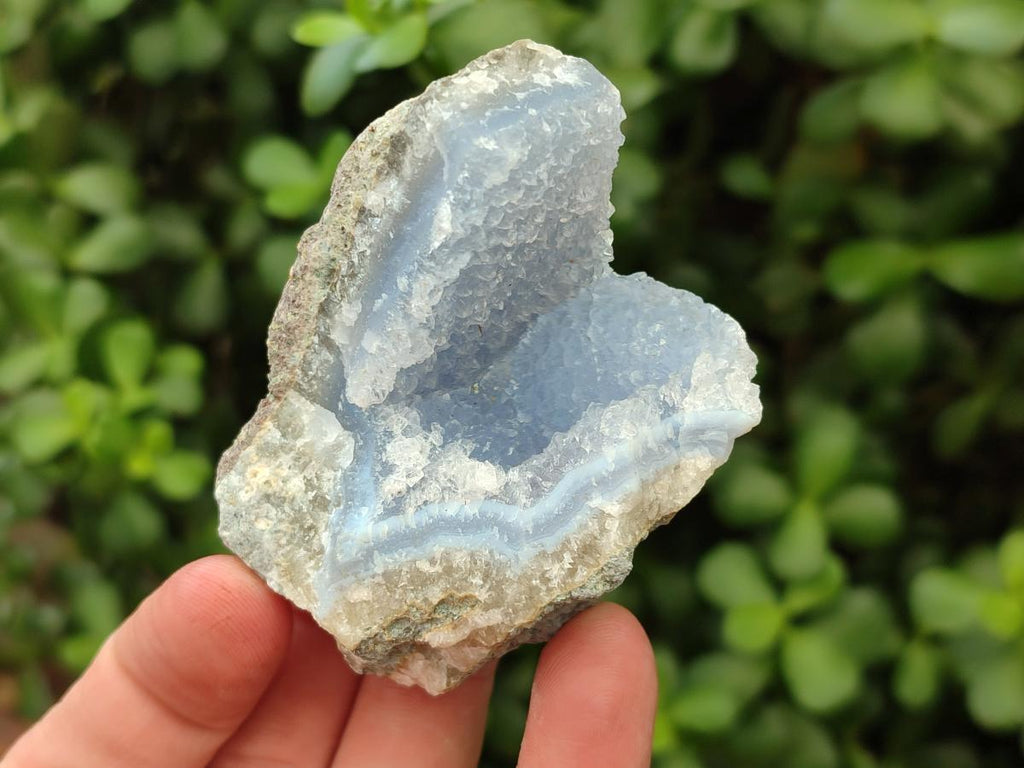 Natural Blue Lace Agate Geode Specimens x 12 From Nsanje, Malawi