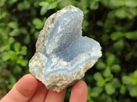 Natural Blue Lace Agate Geode Specimens x 12 From Nsanje, Malawi