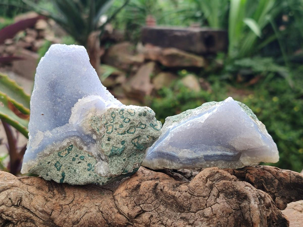 Natural Blue Lace Agate Geode Specimens x 12 From Nsanje, Malawi