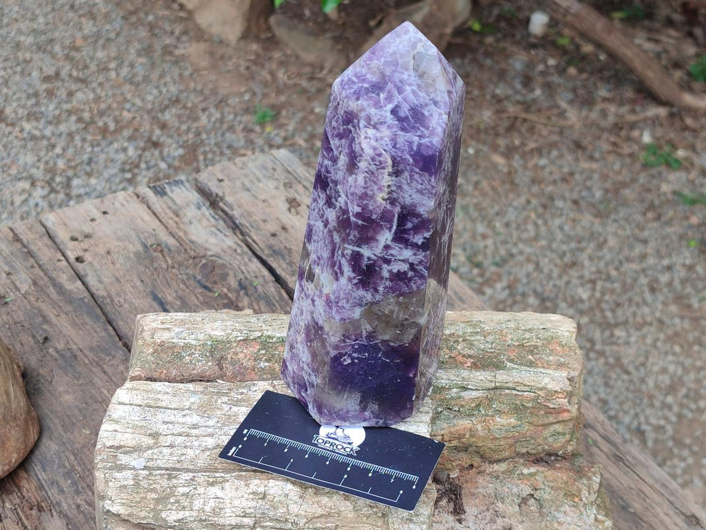 Polished Lepidolite Display Crystals x 2 From Ambatondrazaka, Madagascar