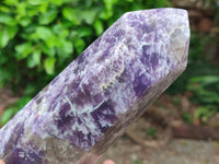 Polished Lepidolite Display Crystals x 2 From Ambatondrazaka, Madagascar