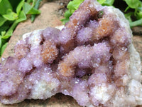 Natural Amethyst and Ametrine Spirit Clusters x 5 From Boekenhouthoek, South Africa