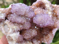 Natural Amethyst and Ametrine Spirit Clusters x 5 From Boekenhouthoek, South Africa