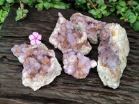 Natural Amethyst and Ametrine Spirit Clusters x 5 From Boekenhouthoek, South Africa