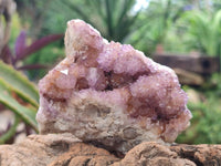 Natural Amethyst and Ametrine Spirit Clusters x 5 From Boekenhouthoek, South Africa