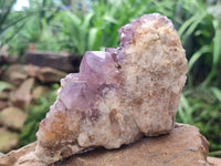 Natural Amethyst and Ametrine Spirit Clusters x 5 From Boekenhouthoek, South Africa