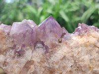 Natural Amethyst and Ametrine Spirit Clusters x 5 From Boekenhouthoek, South Africa