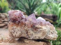 Natural Amethyst and Ametrine Spirit Clusters x 5 From Boekenhouthoek, South Africa