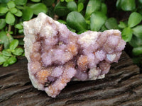 Natural Amethyst and Ametrine Spirit Clusters x 5 From Boekenhouthoek, South Africa