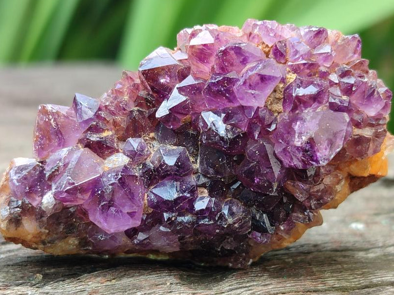 Natural Dark Purple Amethyst Quartz Crystal Plates x 24 From Boekenhouthoek, South Africa