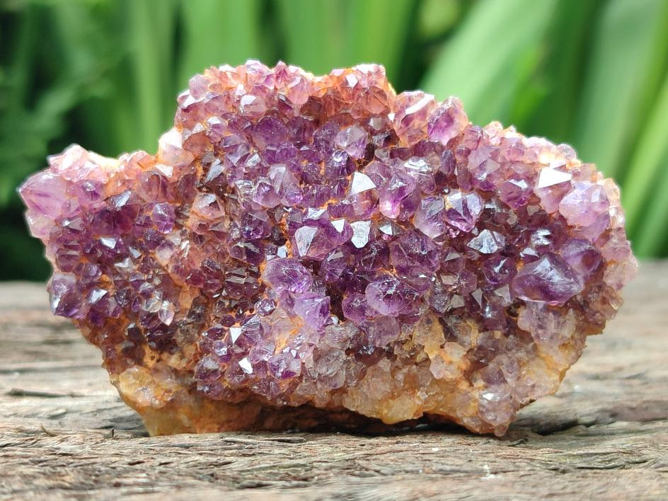 Natural Dark Purple Amethyst Quartz Crystal Plates x 24 From Boekenhouthoek, South Africa