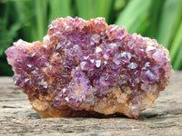 Natural Dark Purple Amethyst Quartz Crystal Plates x 24 From Boekenhouthoek, South Africa