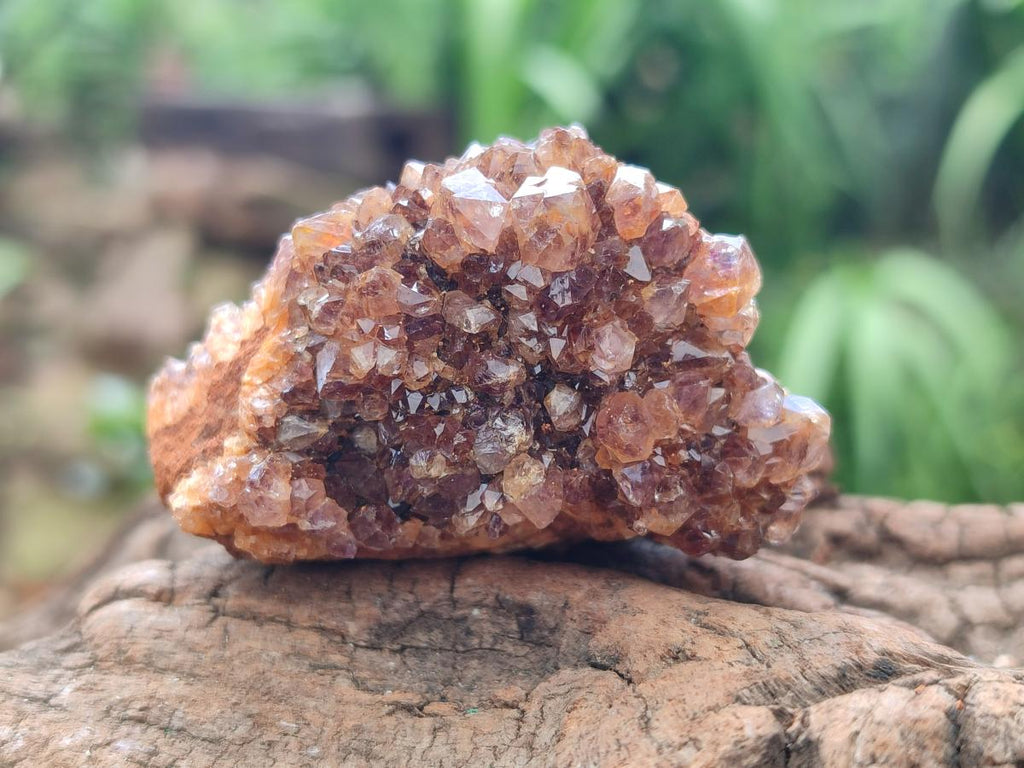 Natural Dark Purple Amethyst Quartz Crystal Plates x 24 From Boekenhouthoek, South Africa