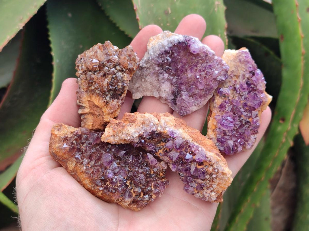 Natural Dark Purple Amethyst Quartz Crystal Plates x 24 From Boekenhouthoek, South Africa