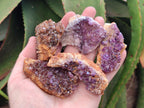 Natural Dark Purple Amethyst Quartz Crystal Plates x 24 From Boekenhouthoek, South Africa