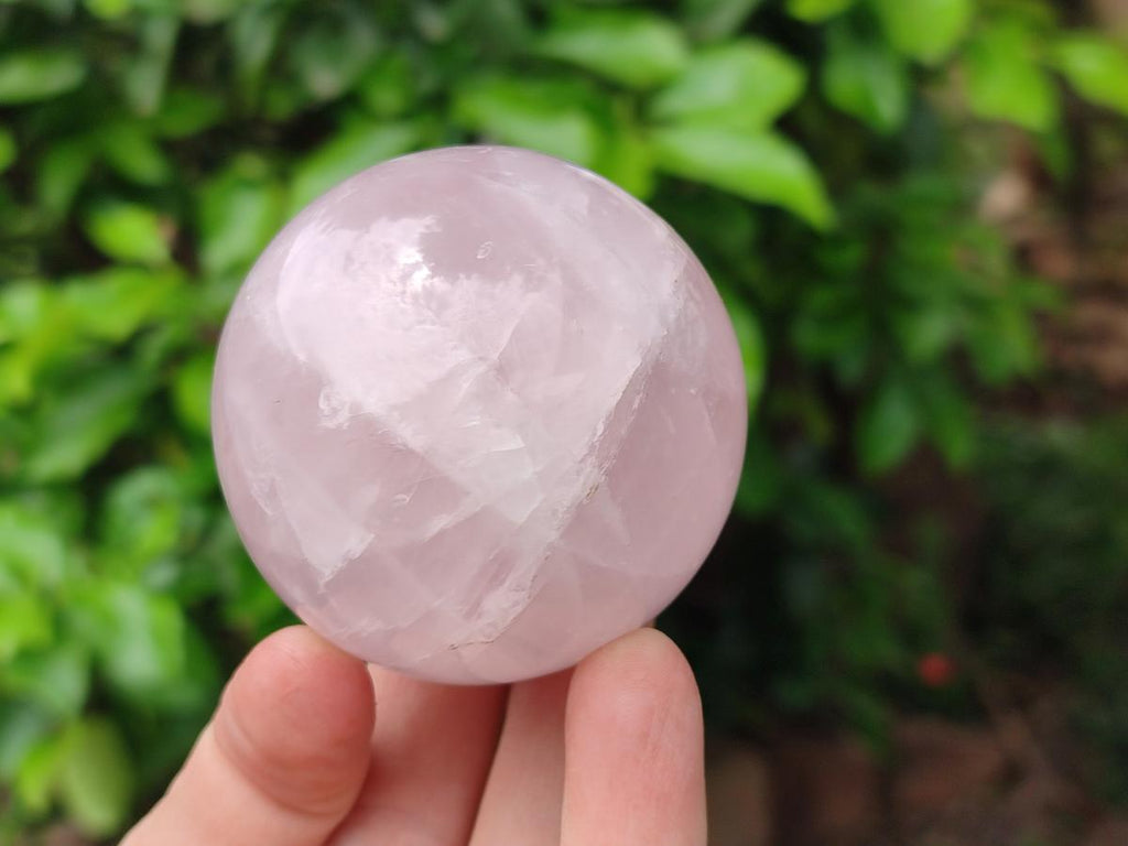 Polished Star Rose Quartz Spheres x 6 From Madagascar
