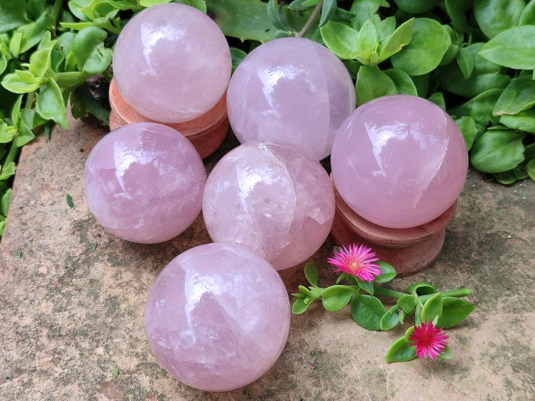 Polished Star Rose Quartz Spheres x 6 From Madagascar