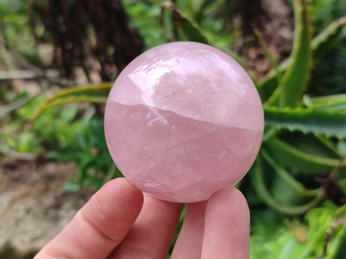 Polished Star Rose Quartz Spheres x 6 From Madagascar