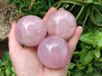 Polished Star Rose Quartz Spheres x 6 From Madagascar