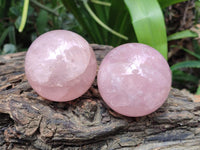 Polished Star Rose Quartz Spheres x 6 From Madagascar