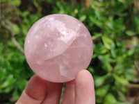 Polished Star Rose Quartz Spheres x 6 From Madagascar