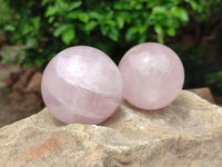 Polished Star Rose Quartz Spheres x 6 From Madagascar