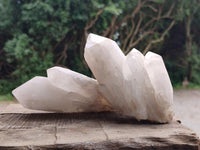 Natural Candle Quartz Crystal Clusters x 6 From Antsirabe, Madagascar