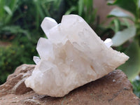 Natural Candle Quartz Crystal Clusters x 6 From Antsirabe, Madagascar