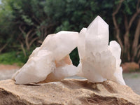 Natural Candle Quartz Crystal Clusters x 6 From Antsirabe, Madagascar