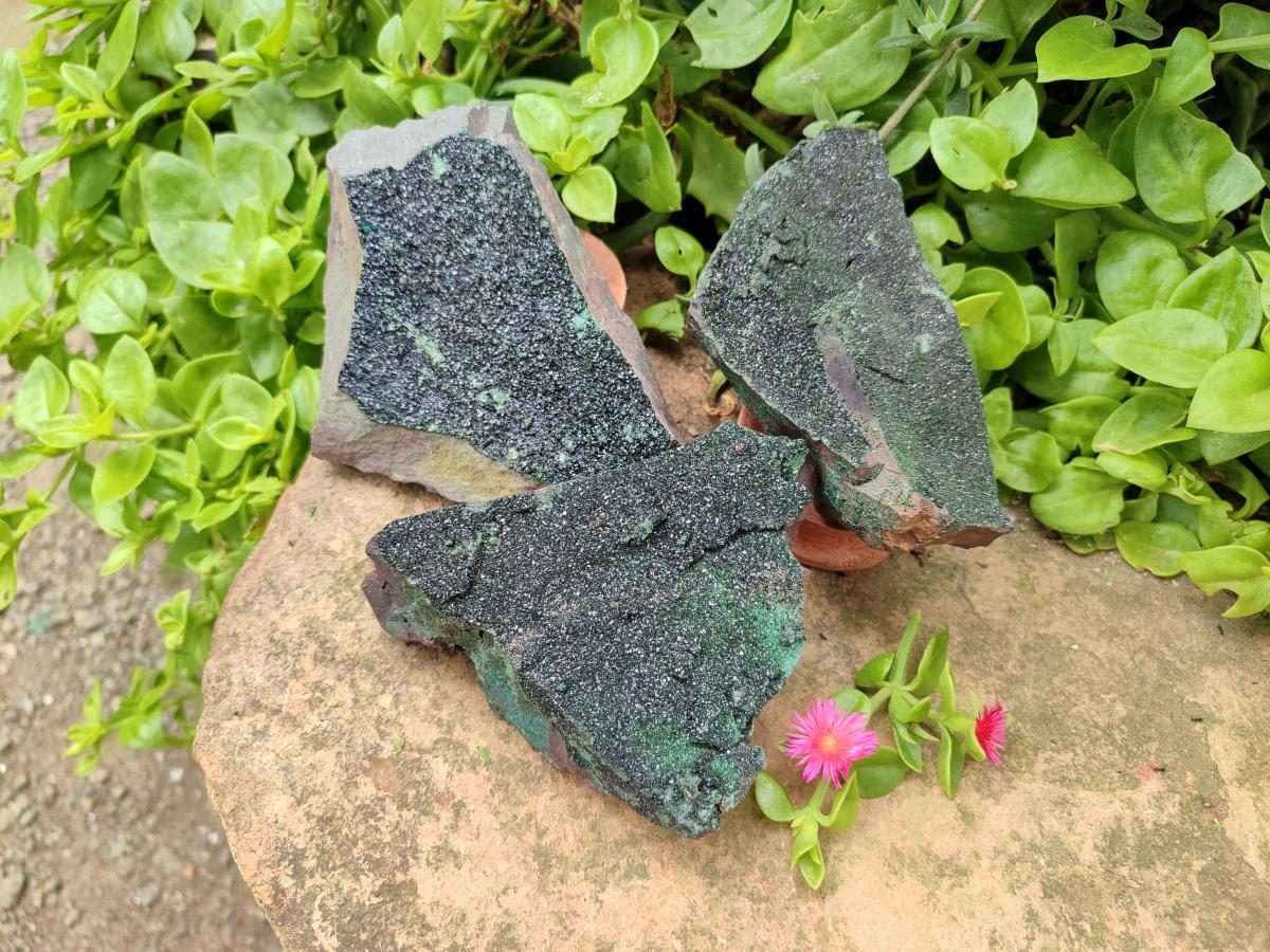 Natural Libethenite Crystals On Dolomite Matrix Specimens x 3 From Shituru, Congo