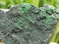 Natural Libethenite Crystals On Dolomite Matrix Specimens x 3 From Shituru, Congo