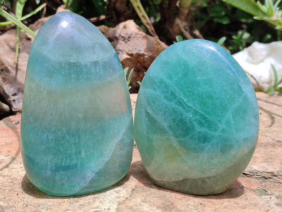 Polished Green Fluorite Standing Free Forms x 3 From Madagascar