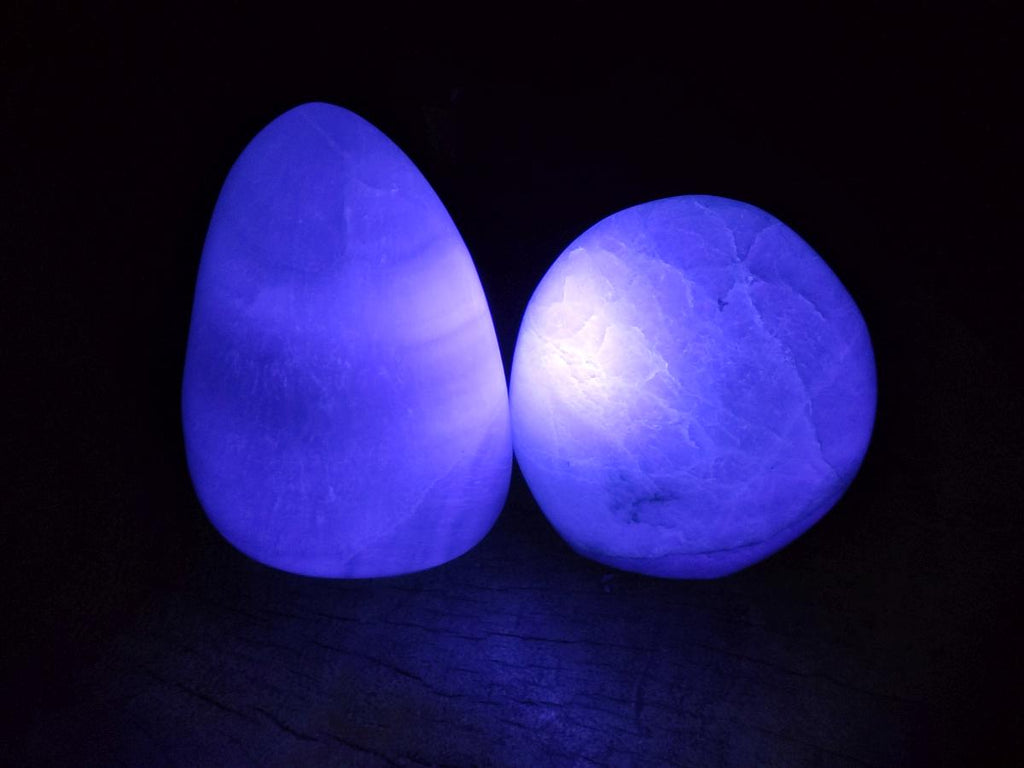 Polished Green Fluorite Standing Free Forms x 3 From Madagascar