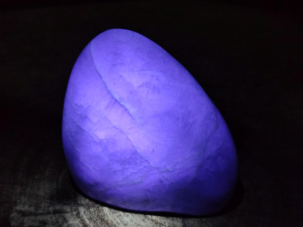 Polished Green Fluorite Standing Free Forms x 3 From Madagascar