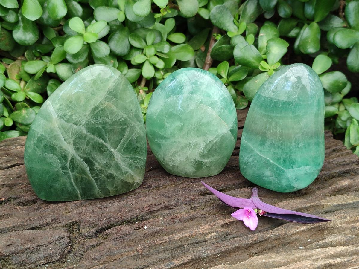 Polished Green Fluorite Standing Free Forms x 3 From Madagascar