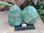 Polished Green Fluorite Standing Free Forms x 3 From Madagascar