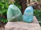 Polished Green Fluorite Standing Free Forms x 3 From Madagascar
