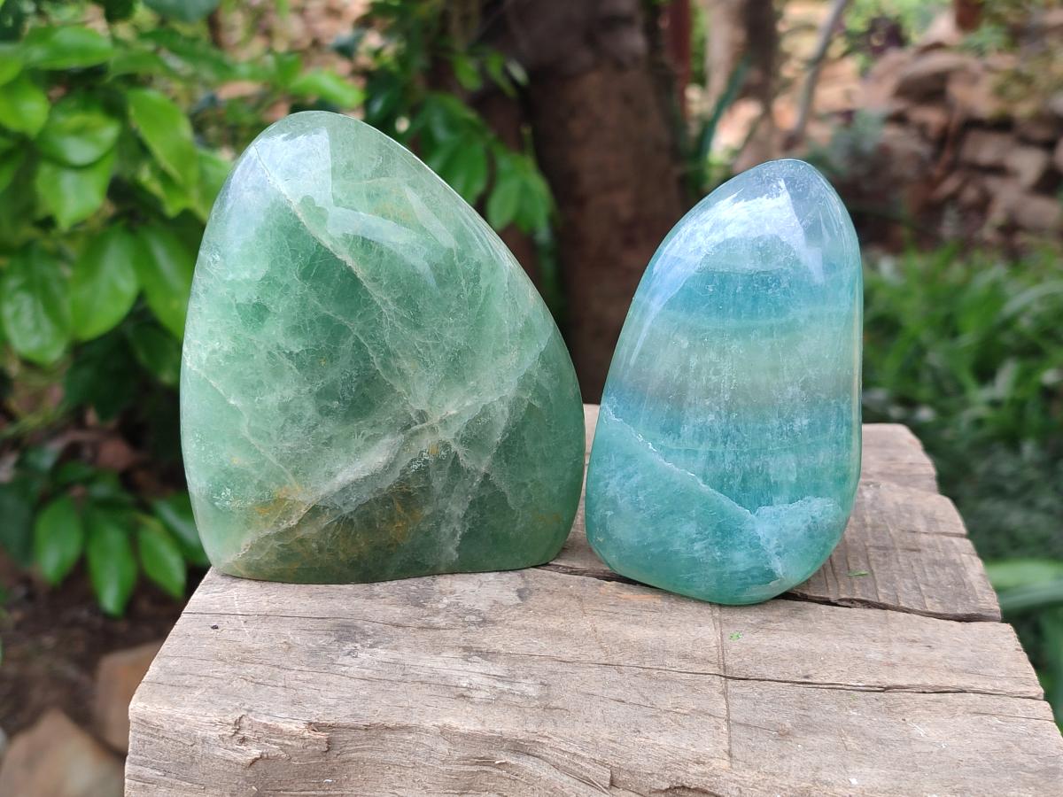 Polished Green Fluorite Standing Free Forms x 3 From Madagascar