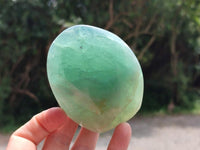 Polished Green Fluorite Standing Free Forms x 3 From Madagascar